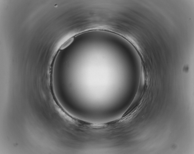 X0000091981151200709061348