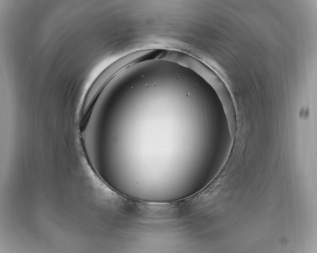 X0000091981152200709061348
