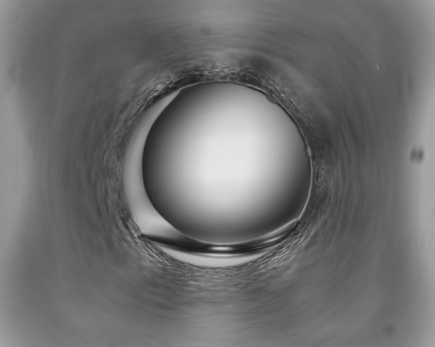 X0000091981153200709061348