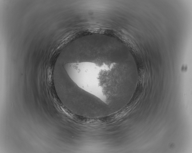 X0000091981154200709061348