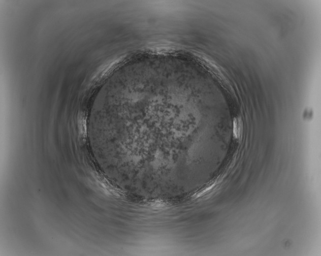 X0000091981155200709061348