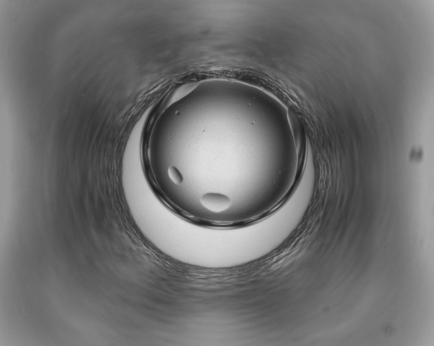 X0000091981156200709061348