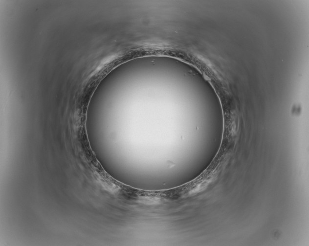 X0000091981157200709061348