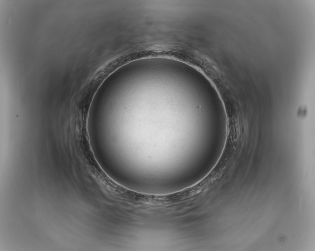 X0000091981158200709061348