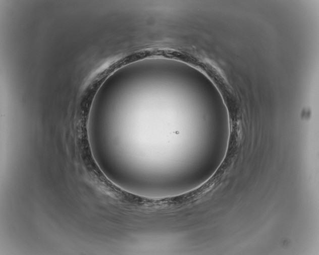 X0000091981159200709061348