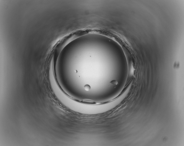X0000091981160200709061348