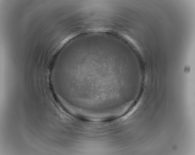 X0000091981161200709061348