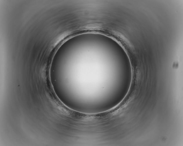 X0000091981162200709061348