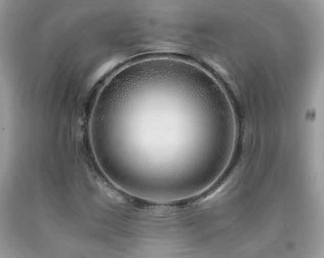 X0000091981163200709061348