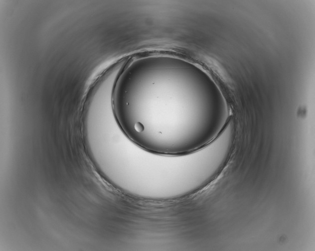 X0000091981164200709061348