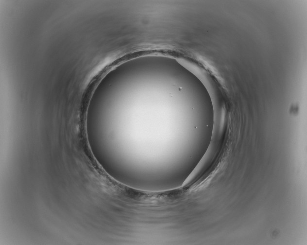 X0000091981165200709061348
