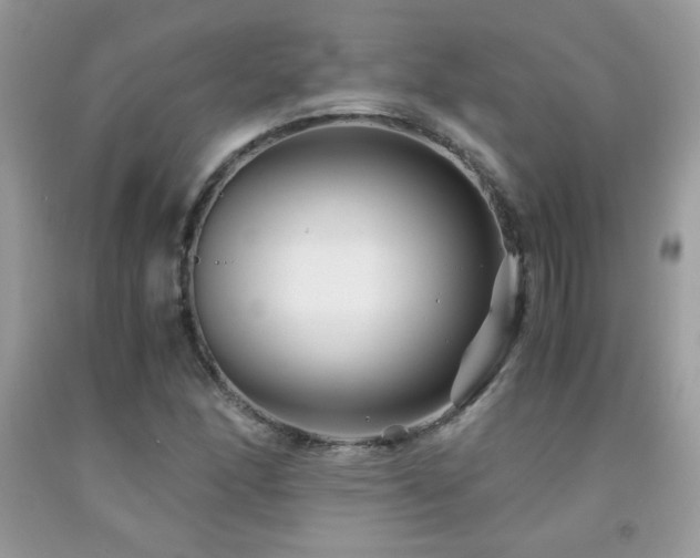 X0000091981166200709061348
