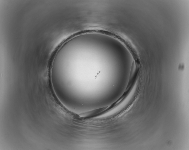 X0000091981167200709061348