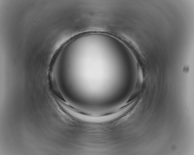 X0000091981168200709061348