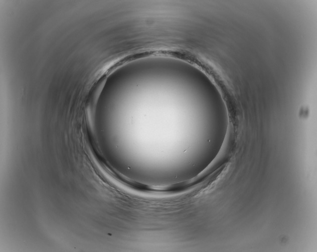 X0000091981169200709061348