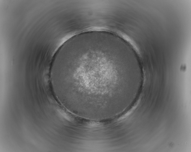 X0000091981170200709061347