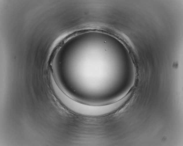 X0000091981172200709061347
