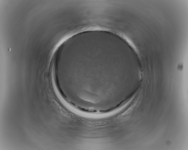 X0000091981173200709061347