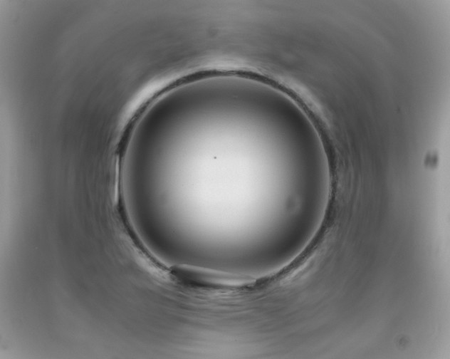 X0000091981175200709061347