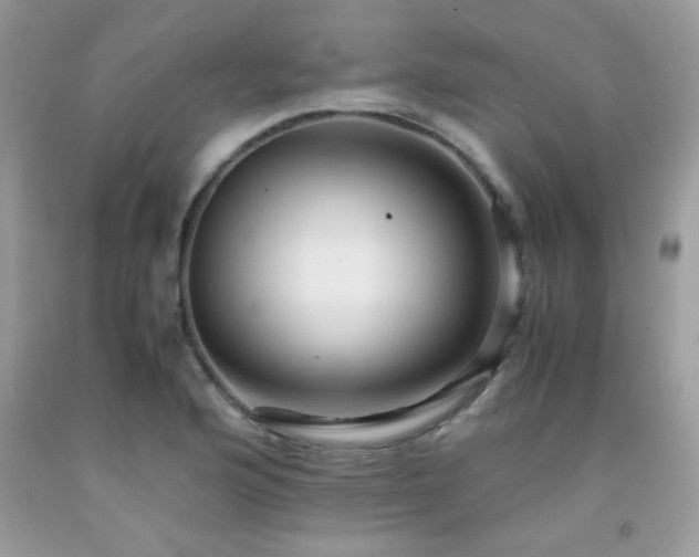 X0000091981176200709061347