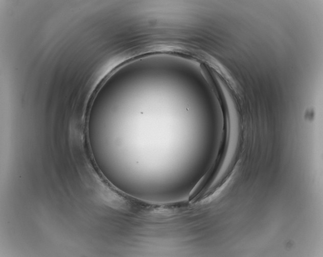 X0000091981178200709061347
