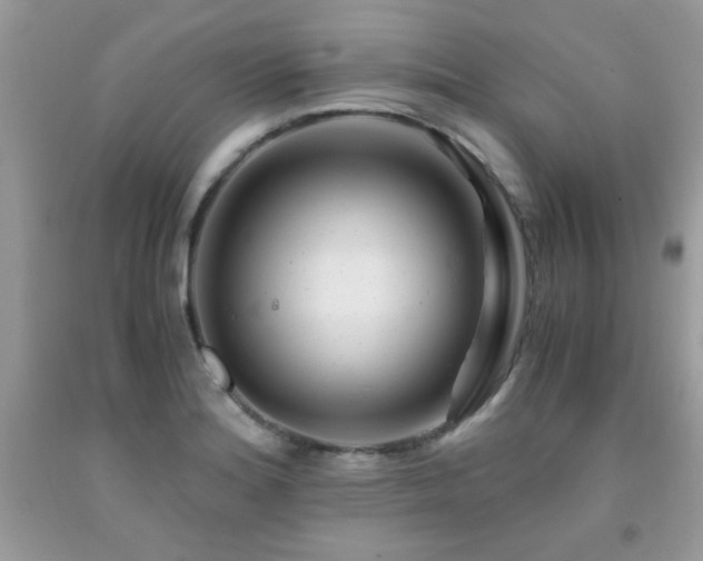 X0000091981180200709061347