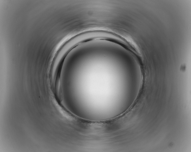 X0000091981181200709061347
