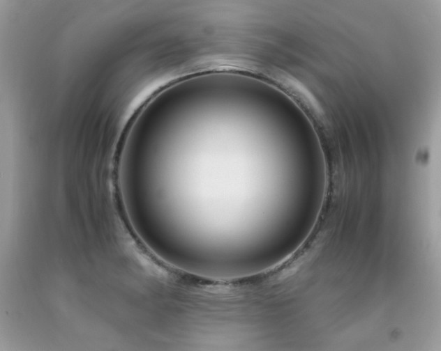 X0000091981182200709061347