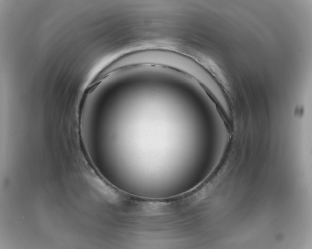 X0000091981184200709061347