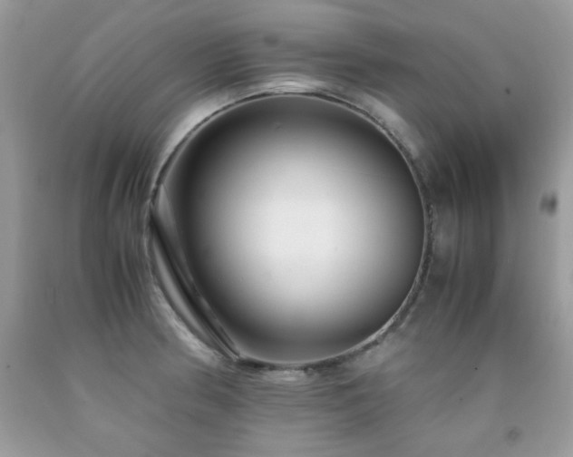 X0000091981186200709061347