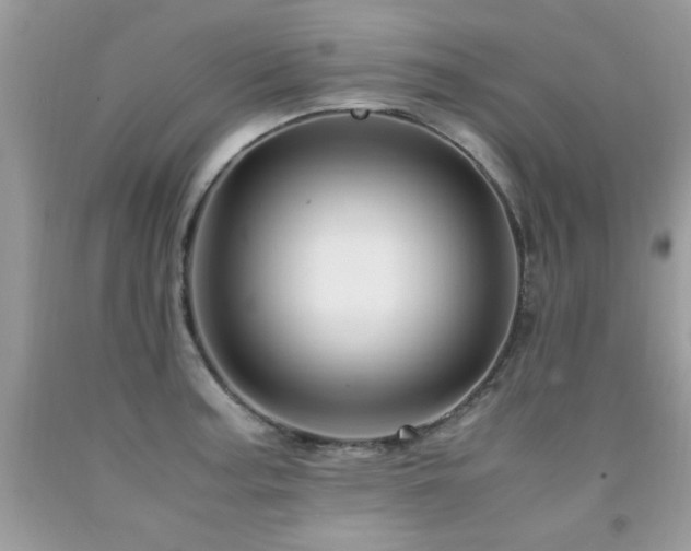 X0000091981187200709061347
