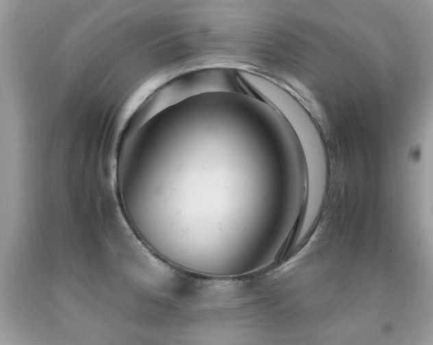 X0000091981188200709061347