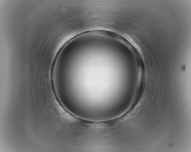 X0000091981189200709061347