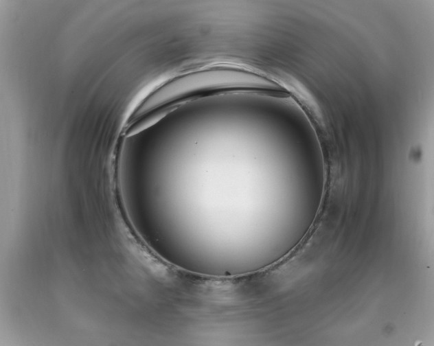 X0000091981190200709061347