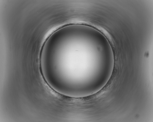 X0000091981191200709061347