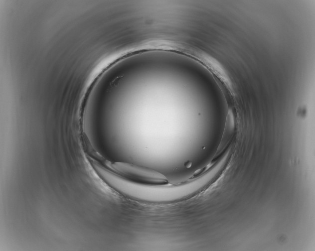 X0000091981192200709061347