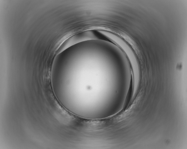 X0000091981193200709061347