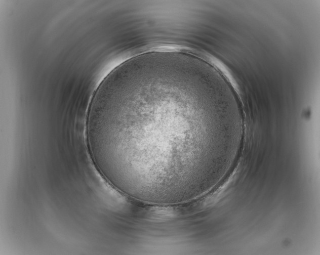 X0000091981194200709061347