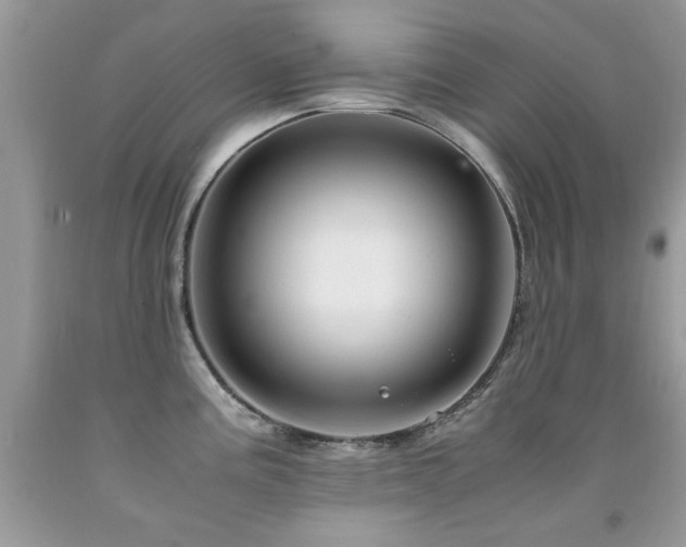 X0000091981195200709061347