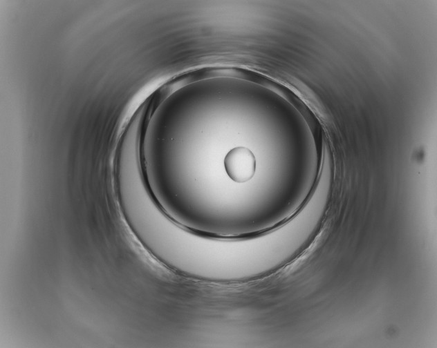 X0000091981196200709061347