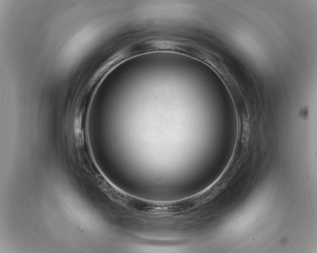 X0000091981198200709061347
