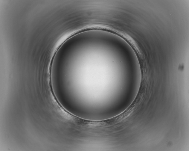 X0000091981199200709061347