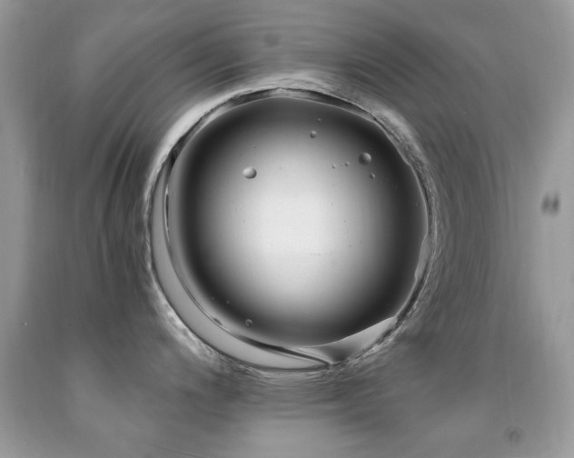 X0000091981200200709061347