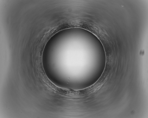 X0000091981201200709061347