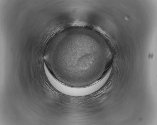 X0000091981202200709061347