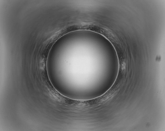 X0000091981204200709061347