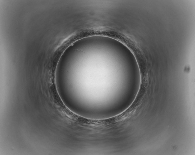 X0000091981205200709061347