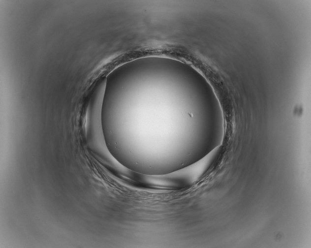 X0000091981206200709061347