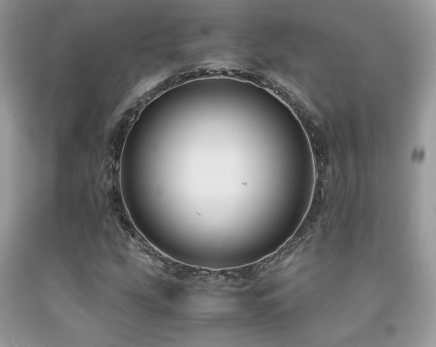 X0000091981207200709061347