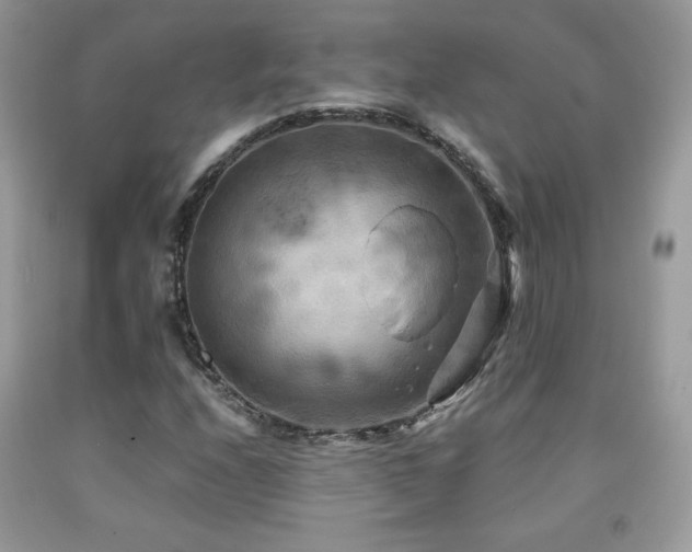 X0000091981208200709061347